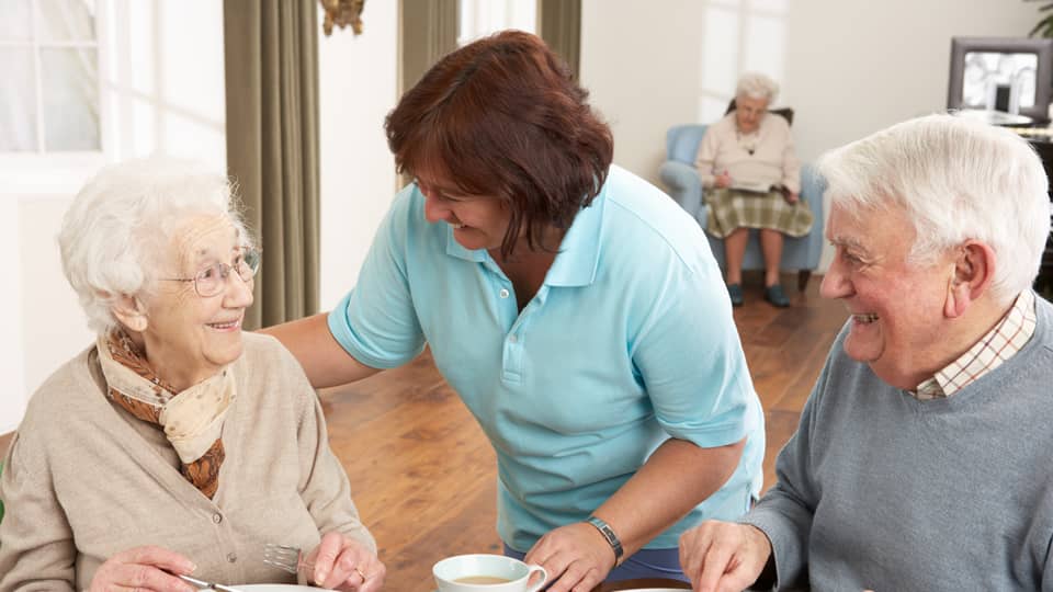 senior couple being served meal by carer